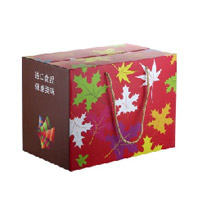 20ZQ哈根达斯698型-进口食品礼盒