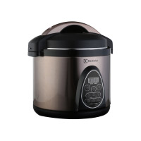 20ZQ整数版1200型-伊莱克斯-微电脑电压力锅