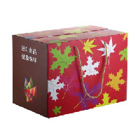 20ZQ整数版200型-进口食品礼盒