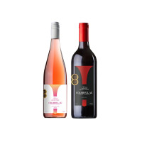 20ZQ功德林368型-进口红酒组合