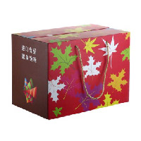 20ZQ功德林368型-进口食品礼盒