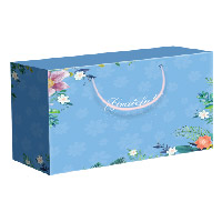 20ZQ元祖268型-菌菇干货礼盒