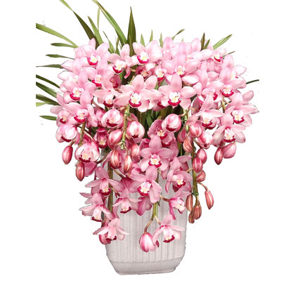 23ZQE6型-花小姐-花束套餐