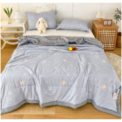 23ZQA9型-简尙创品盛夏光年夏被